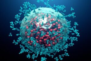 <img src="Microscopic view of antibodies destroying an infected cell by a virus.